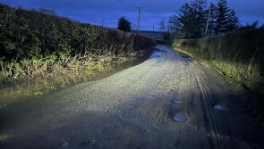 Anger as three drivers burst tyres on same Offaly road in half hour period