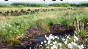 BREAKING - €30 million Peatlands and People Discovery visitor attraction for bog in west Offaly