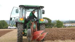 South Offaly Ploughing match to be held on Sunday next