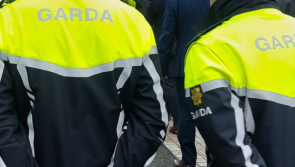 Woman arrested in connection to Michael Foley murder released without charge