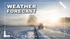 Met Éireann snow prediction for Ireland amid new Polar weather blast
