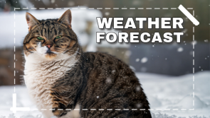 Snow prediction for Ireland from Met Eireann amid new winter weather blast
