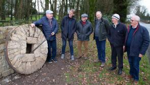 The Roscrea sculptures of artist Jerry Cahir