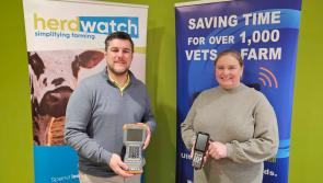 Local company acquires two new vet software companies