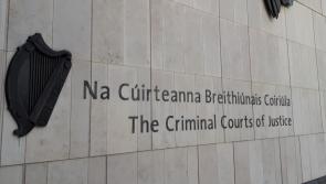 Sister of gang 'patriarch' jailed over &euro;124k found in attic of her home