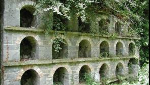 Internationally important heritage site in Ballingarry needs protection 