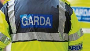 Three men, 20s, arrested after being pursued by Gardaí in Westmeath