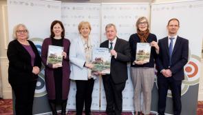 Second Offaly town named for development of Town Centre First Plan