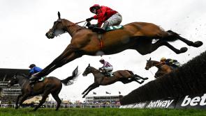 Cheltenham Day 2 tips - Henry De Bromhead could have big 9/1 winner on Wednesday