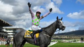 LIVE: Cheltenham Day 1 Results