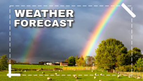 Met Éireann predict St Patrick's Day weather u-turn but more wet weather on the way