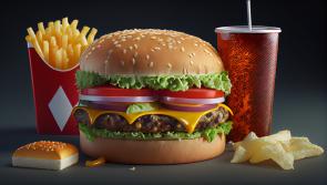 New takeaway to open its doors Offaly in this week