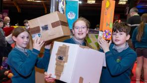 Offaly students present amazing science projects at big RDS event