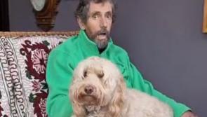 Charlie Bird's dog produced poignant moment at funeral as crowd gasped 