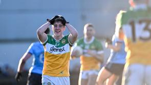 Improving Offaly on the brink of National Football League safety