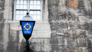 Guns seized as man and woman are injured in St Patrick's Day incident in Offaly