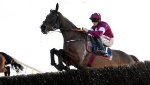 Irish Grand National Tips: 16/1 shot could steal the show at Fairyhouse 
