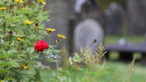 Public meeting this evening to explore setting up a graveyard committee in Offaly village