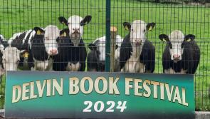 Come along to the Delvin Book Festival this May Bank Holiday weekend