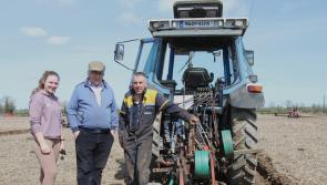 Ploughing Association holds successful championships in brilliant sunshine