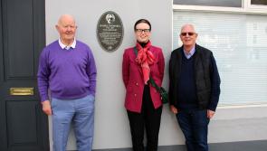 Roscrea's new mural - the hare and the Liberator 