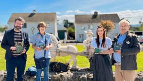 Greater transparency needed from Offaly councillors says Sinn Fein local elections candidate