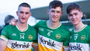 Kilkenny left reeling as heroic Offaly dig deep to return to provincial decider