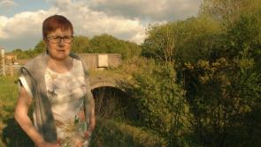 Secretive Bord Na M&oacute;na &lsquo;on the wrong track' says Barbara Daly