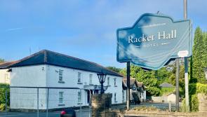 Roscrea Community Action Group appeal to Minister Roderic O'Gorman