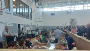 Roscrea's sitting Councillors perched to retain seats in first count