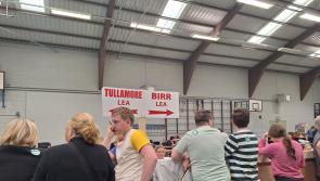 Full list of candidates elected in Offaly local election with four seats left to fill