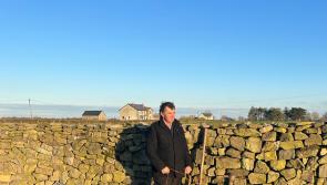 Historic dry stone wall restored in East Galway