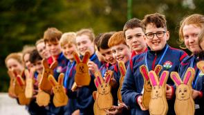 Local National School wins major award in the All-Island Junior Entrepreneur Programme Awards