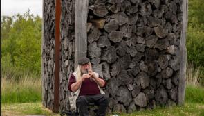 Midsummer's events in Offaly feature lively theatre trail on the bog