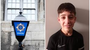 ALERT: Gardaí seek help from public to find missing teenage boy