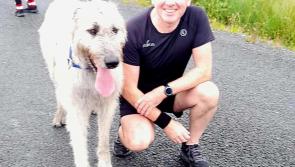 Meet an Offaly park-runner who has completed his 150th event