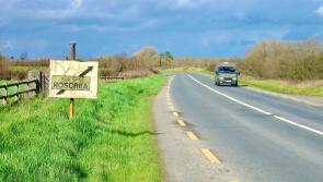'Frightening' speeding in Roscrea condemned by councillors
