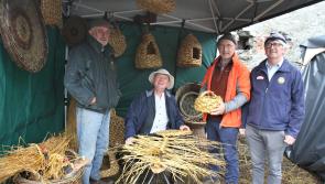 Offaly celebrates Traditional Craft Masters in Banagher this weekend