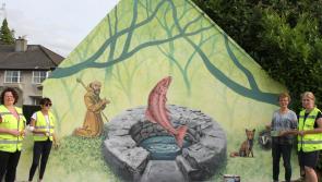 Rathcabbin village gets an impressive new mural focusing on St Ciaran’s Well