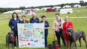 Up to 60,000 visitors expected to attend this Sunday's Tullamore Show