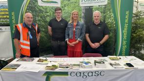 Experience Forestry and Energy at Tullamore Show 2024 this Sunday 