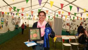 Arts and Photography Section is one of the highlights of Tullamore Show for many