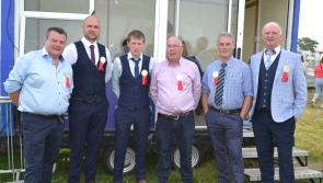 Massive prize fund of €26,000 in Tullamore Show's Commercial Cattle Section