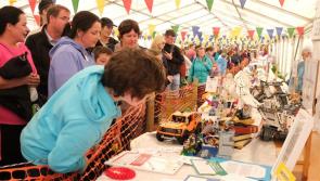 Calling all Lego fans! Offaly is the place to be this Sunday