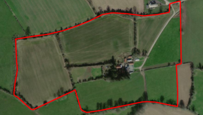 Top quality land with road frontage comes on the market in Offaly