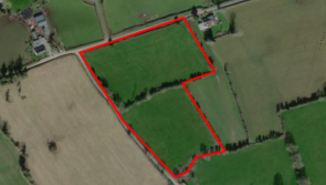 Top quality land with road frontage comes on the market in Offaly