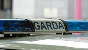 Number of 'endangered' animals seized in Limerick