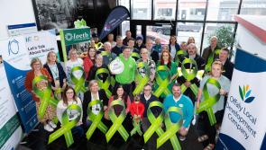 'Offaly Goes Green' in support of National Green Ribbon campaign