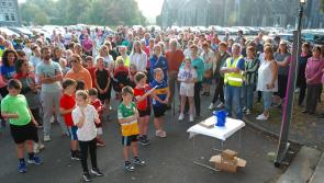Pictures: Roscrea Lions Club cancer walk in Mount St. Joseph's draws huge crowd