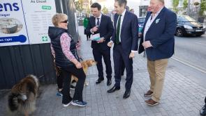 Egan calls for investment in Offaly tourist artery following bus accident